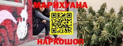 бошки Дубна